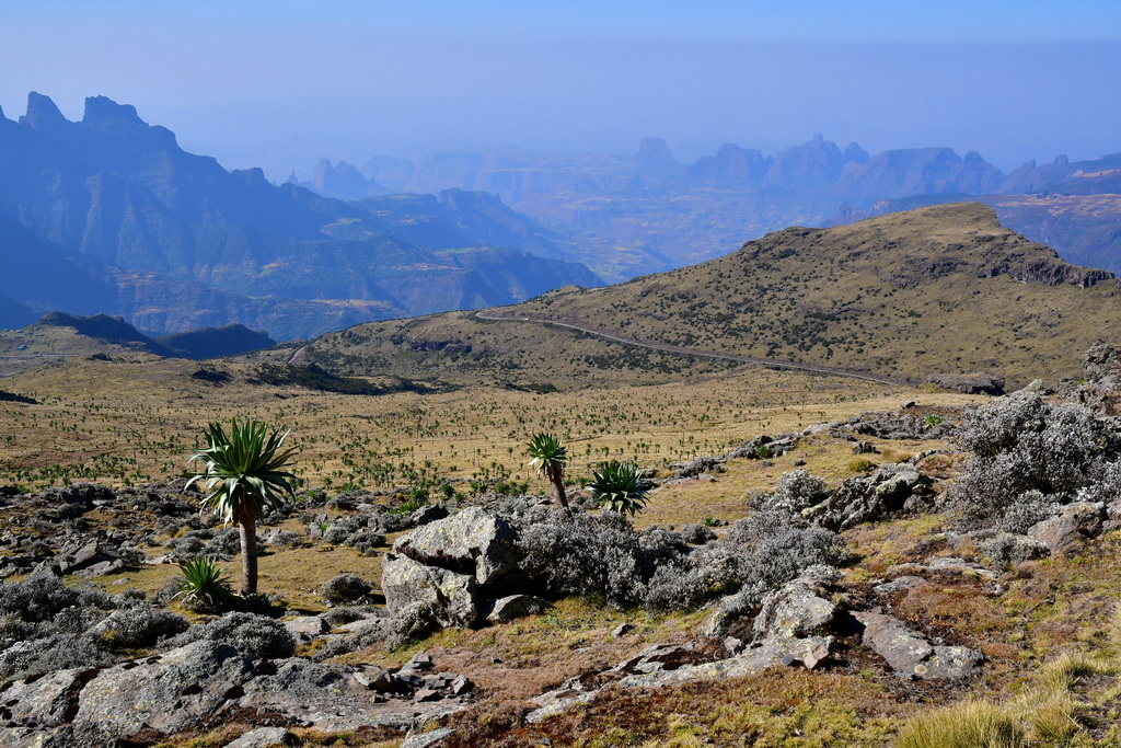 Simien Mountains N.P.